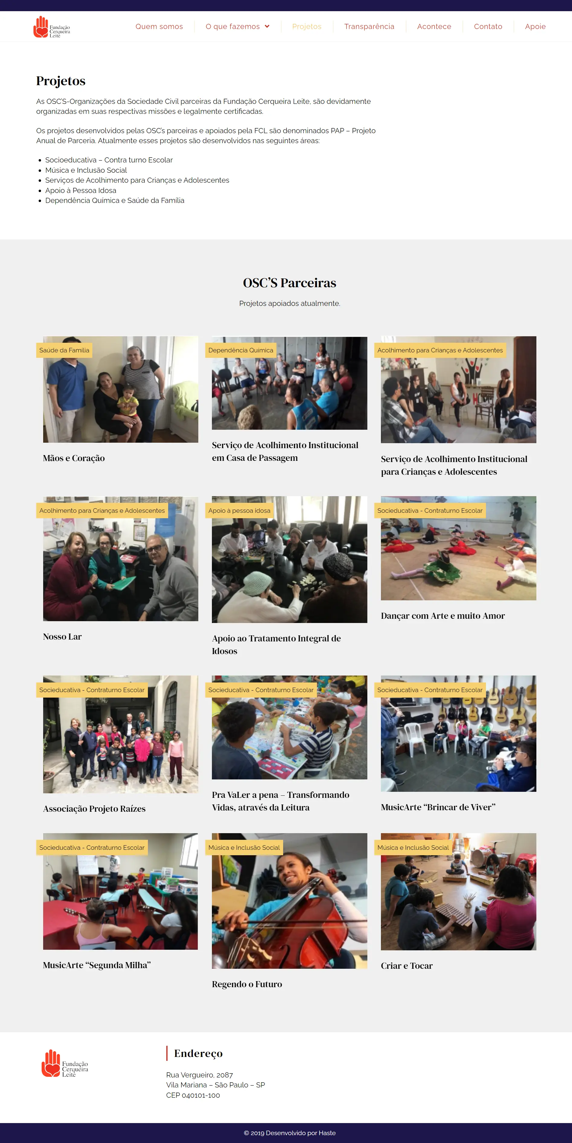 Image of the projects page, on the Cerqueira Leite Foundation website.